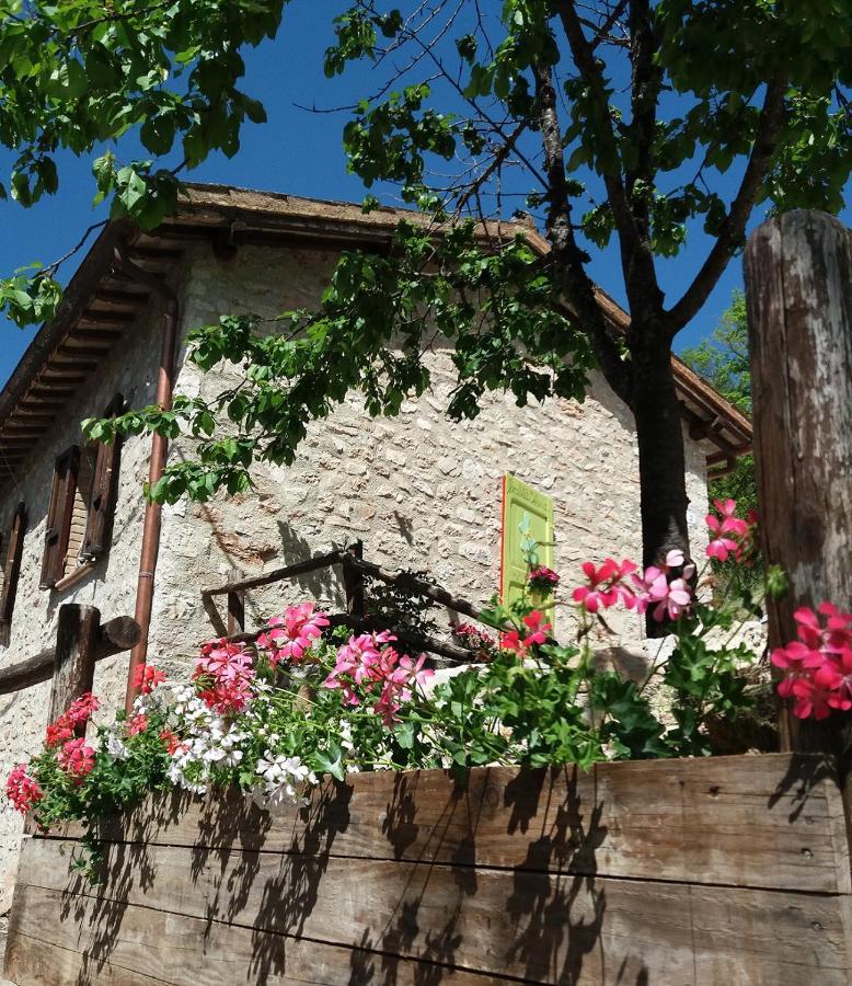 B&B Dell'Osteria Sant'Anatolia di Narco Ngoại thất bức ảnh